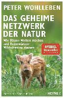 bokomslag Das geheime Netzwerk der Natur