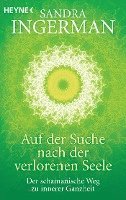bokomslag Auf der Suche nach der verlorenen Seele