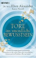 Tore ins unendliche Bewusstsein 1