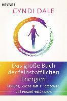 bokomslag Das große Buch der feinstofflichen Energien