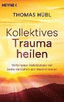 bokomslag Kollektives Trauma heilen