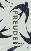 Radka Denemarková - Ein Beitrag zur Geschichte der Freude, Inbunden