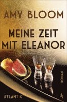 Amy Bloom - Meine Zeit mit Eleanor, Häftad