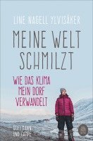 Meine Welt schmilzt 1