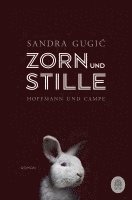 bokomslag Zorn und Stille