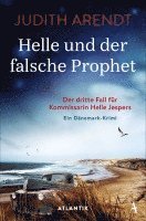 bokomslag Helle und der falsche Prophet