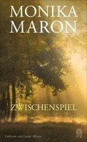 Monika Maron - Zwischenspiel, Inbunden