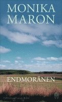 Endmoränen 1