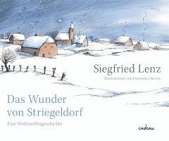 bokomslag Das Wunder von Striegeldorf