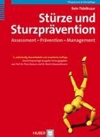 Rein Tideiksaar, Theo Dassen, René Schwendimann - Stürze und Sturzprävention, Inbunden