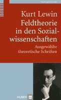 bokomslag Feldtheorie in den Sozialwissenschaften