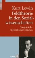 Feldtheorie in den Sozialwissenschaften