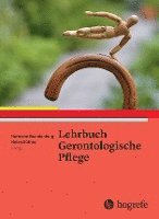 bokomslag Lehrbuch Gerontologische Pflege