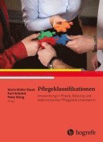 bokomslag Pflegeklassifikationen und pflegerische Begriffssysteme