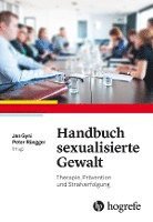 bokomslag Handbuch sexualisierte Gewalt