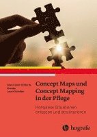 bokomslag Concept Maps und Concept Mapping in der Pflege