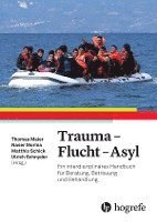 bokomslag Trauma - Flucht - Asyl