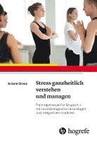 bokomslag Stress ganzheitlich verstehen und managen