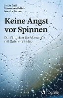 bokomslag Keine Angst vor Spinnen