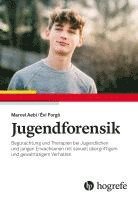 bokomslag Jugendforensik