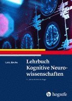 bokomslag Lehrbuch Kognitive Neurowissenschaften