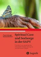bokomslag Spiritual Care und Seelsorge in der SAPV
