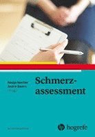 bokomslag Schmerzassessment