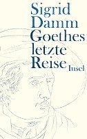 bokomslag Goethes letzte Reise