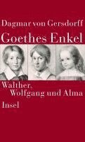 bokomslag Goethes Enkel