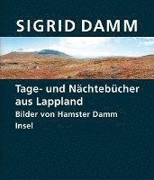 bokomslag Tage- und Nächtebücher aus Lappland