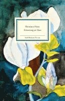 Hermann Hesse - Erinnerung an Hans, Inbunden