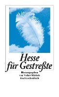 Hermann Hesse - Hesse für Gestreßte, Häftad