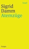 bokomslag Atemzüge
