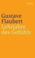 Gustave Flaubert - Lehrjahre des Gefühls, Häftad