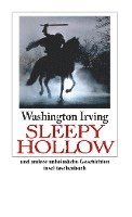 bokomslag Sleepy Hollow und andere unheimliche Geschichten