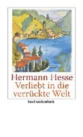 bokomslag Verliebt in die verrückte Welt