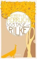 bokomslag 'Hiersein ist herrlich.' 365 Tage mit Rilke