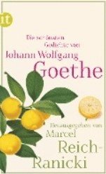 bokomslag Die schönsten Goethe Gedichte