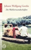 Johann Wolfgang Goethe - Die Wahlverwandtschaften, Häftad