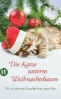 bokomslag Die Katze unterm Weihnachtsbaum