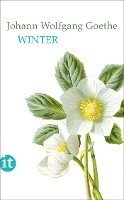 bokomslag Winter
