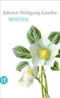 Johann Wolfgang von Goethe, Mathias Mayer - Winter, Häftad