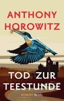Anthony Horowitz - Tod zur Teestunde (Susan Ryeland ermittelt 3), Inbunden