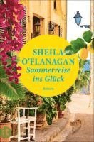 bokomslag Sommerreise ins Glück