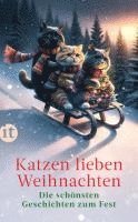 bokomslag Katzen lieben Weihnachten