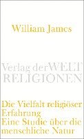 bokomslag Die Vielfalt religiöser Erfahrung