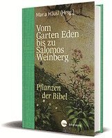 bokomslag Vom Garten Eden bis zu Salomos Weinberg