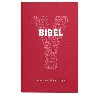 bokomslag YOUCAT-Bibel