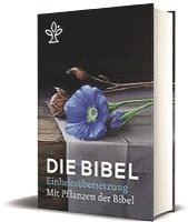 bokomslag Die Bibel mit Bildern von biblischen Pflanzen