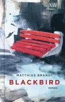 Blackbird 1